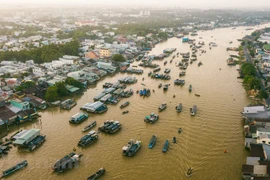 Đồng tháp: Phát triển du lịch xanh trên đất Sen hồng