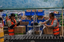 Ảnh minh họa (Nguồn: AFP/TTXVN)