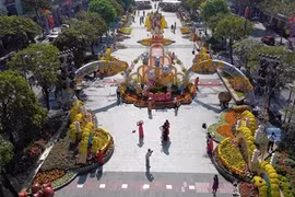 Ảnh minh họa (Nguồn:TTXVN)