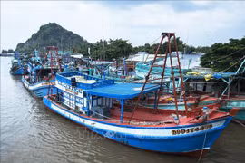  Tàu đánh bắt xa bờ neo đậu tại cửa biển. (Ảnh: Hồng Đạt/TTXVN)