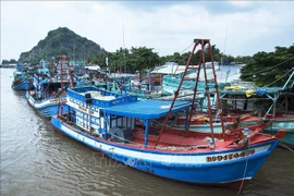  Tàu đánh bắt xa bờ neo đậu tại cửa biển. (Ảnh: Hồng Đạt/TTXVN)