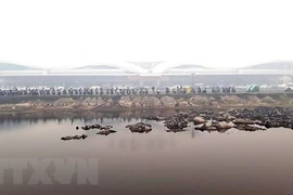 Indonesia sẽ tổ chức lễ kỷ niệm Ngày Độc lập tại thủ đô mới