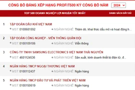 Bảng xếp hạng Profit500 kỳ công bố Năm 2024. (Nguồn: Profit500)