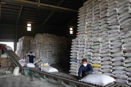 Chính phủ Philippines tìm cách nhập thêm 330.000 tấn gạo