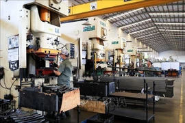 Hoạt động sản xuất công nghiệp trong một công ty tại Khu công nghiệp Giang Điền, huyện Trảng Bom, tỉnh Đồng Nai. (Ảnh tư liệu: Hồng Đạt/TTXVN)