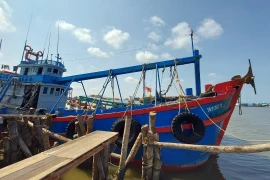 Tàu cá vận chuyển dầu DO trái phép vừa bị Bộ đội Biên phòng Cà Mau phát hiện, bắt giữ. (Ảnh: TTXVN phát) 