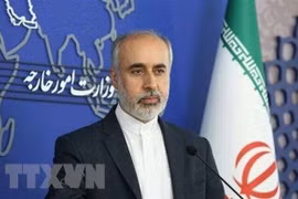 Người phát ngôn Bộ Ngoại giao Iran Nasser Kanaani. (Ảnh: IRNA/TTXVN) 