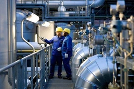 Một nhà máy của tập đoàn hóa chất Đức BASF. (Ảnh: Deutschland) 