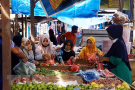 ASEAN tổ chức khóa đào tạo nâng cao năng lực cho Timor-Leste
