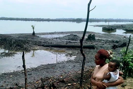 Vụ tràn dầu ở Nigeria. (Nguồn: Reuters) 