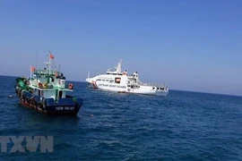 Ảnh minh họa.(Nguồn:THX/TTXVN)