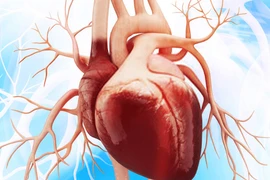 Ảnh minh họa. (Nguồn: AP)