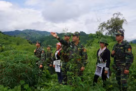 Bộ đội Biên phòng Lào Cai. (Ảnh: TD)