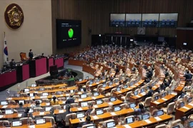 Các nghị sỹ Hàn Quốc bỏ phiếu thông qua. (Ảnh: Yonhap/TTXVN)