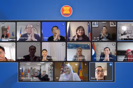 Cuộc họp lần thứ 7 Ủy ban hợp tác chung theo lĩnh vực Hiệp hội các quốc gia Đông Nam Á (ASEAN)-Thụy Sĩ được tổ chức theo hình thức trực tuyến.(Nguồn: ASEAN)
