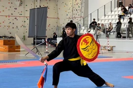 Một trong những màn trình diễn mãn nhãn của các võ sinh. (Ảnh: Nguyễn Thu Hà/TTXVN)