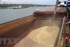 Lúa mỳ được bốc lên tàu chở hàng tại cảng quốc tế Rostov-on-Don, Nga tới Thổ Nhĩ Kỳ. (Ảnh: AFP/TTXVN) 