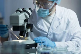 Ảnh minh họa. (Nguồn: Reuters)