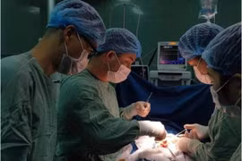 Ca phẫu thuật lấy gần 0,5kg búi tóc trong dạ dày cháu bé 7 tuổi.(Ảnh: Chụp màn hình)