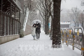 Ảnh minh họa. (Nguồn: AFP/TTXVN)