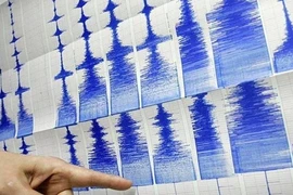 Ảnh minh họa. (Nguồn: QNA) 