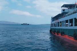 Indonesia: Giải cứu hơn 100 hành khách bị mắc kẹt trên phà ở Bali