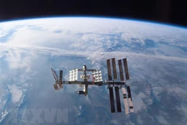 Ảnh minh họa (Nguồn: AFP/TTXVN)