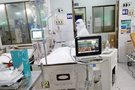 Ảnh minh họa (Nguồn:TTXVN)