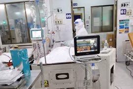 Ảnh minh họa (Nguồn:TTXVN)