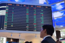 (Ảnh: TTXVN)