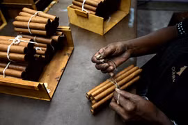 Công nhân đóng gói xì gà tại nhà máy ở La Habana, Cuba. (Ảnh: AFP/TTXVN)