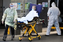 Nhân viên y tế chuyển bệnh nhân COVID-19. (Ảnh: AFP/TTXVN)
