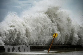 Bão Otis tàn phá nặng nề các địa phương duyên hải miền Tây Mexico