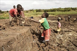 Ảnh minh họa. (Nguồn: AFP/TTXVN)