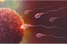 Ảnh minh họa. (Nguồn: AFP)