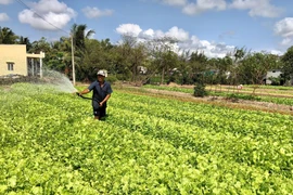 Bạc Liêu: Nhân rộng mô hình tạo sinh kế cho người nghèo