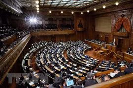Toàn cảnh một phiên họp Quốc hội Nhật Bản tại thủ đô Tokyo. (Ảnh: AFP/TTXVN) 