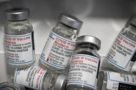 Vaccine ngừa COVID-19 của Hãng dược phẩm Moderna. (Ảnh: AFP/TTXVN) 