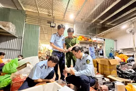 (Ảnh: PV/Vietnam+)