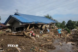 Cảnh tàn phá sau bão Trami tại tỉnh Batangas, Philippines, ngày 25/10/2024. (Ảnh: THX/TTXVN)