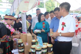 Các đại biểu tham quan các gian hàng tại ngày hội. (Ảnh: Vũ Hoàng Giang/TTXVN)