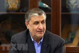 Giám đốc Cơ quan Năng lượng Nguyên tử Iran (IAEO) Mohammad Eslami. (Ảnh: IRNA/TTXVN)