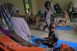 Hội đồng Nhân quyền Liên hợp quốc thông qua nghị quyết về Sudan