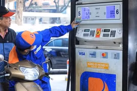 Ảnh minh họa. (Ảnh: Tuấn Anh/TTXVN) 