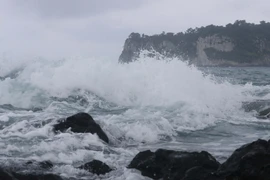 Sóng lớn xô vào bờ biển ở đảo Jeju, Hàn Quốc ngày 3/9/2022, trước khi bão Hinnamnor đổ bộ. 9Ảnh: Yonhap/ TTXVN)