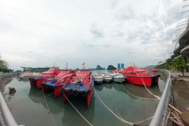 Tàu, thuyền các loại đã về các điểm tránh trú. (Ảnh: Thanh Vân/TTXVN)