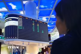 (Ảnh minh họa: TTXVN)