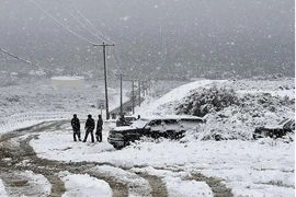 Tuyết bao phủ trên nhiều tuyến đường tại Rancho Cucamonga, California, Mỹ, ngày 25/2/2023. (Ảnh: AFP/TTXVN) 