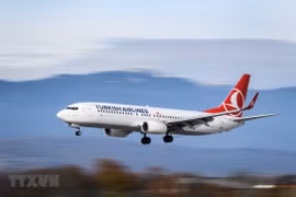 Máy bay của hãng hàng không Turkish Airlines. (Ảnh: AFP/TTXVN) 