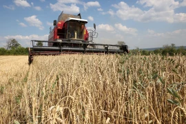 Nông dân thu hoạch lúa mì trên cánh đồng gần Kramatorsk, Ukraine. (Ảnh: AFP/TTXVN)